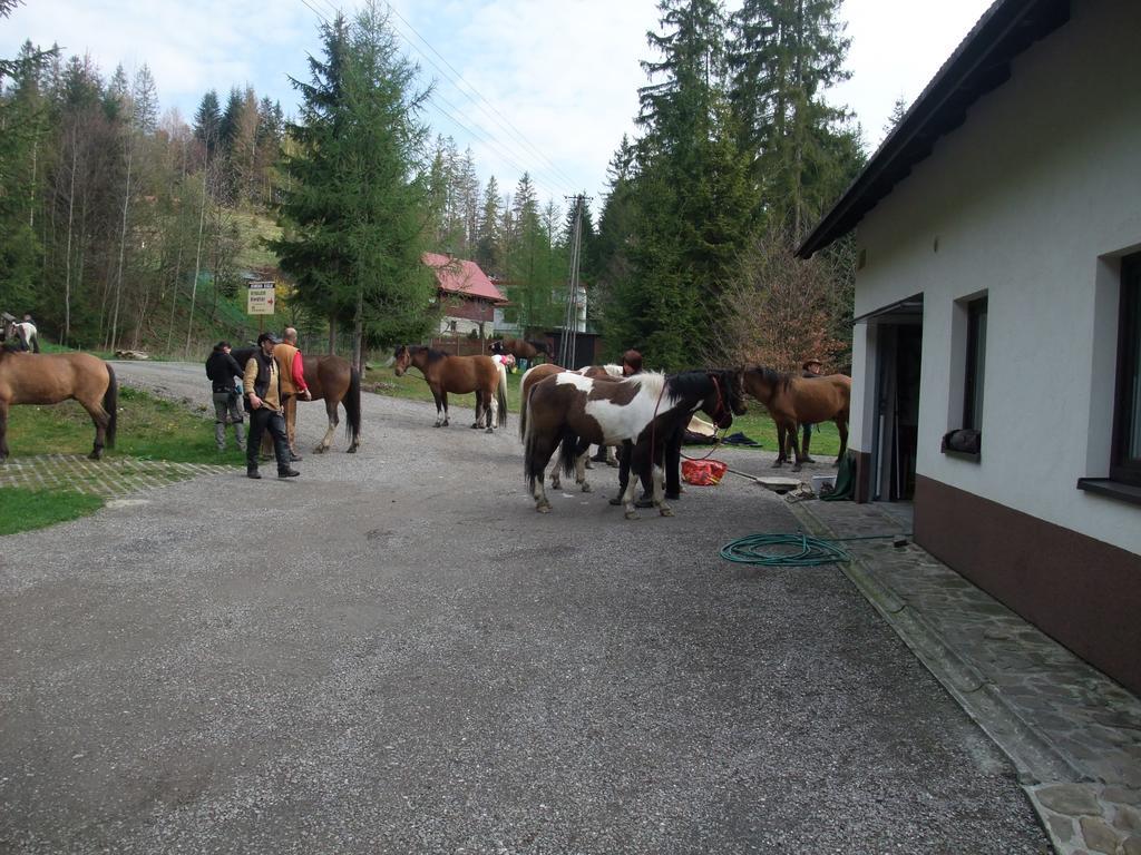 Villa Konsko Sigla Weichsel Exterior foto